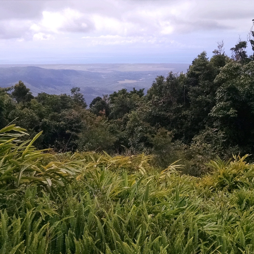 Meet your Posher, Lindsay